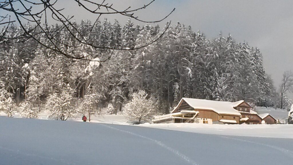 traumhaftes Wintermärchen - 16.01.2021