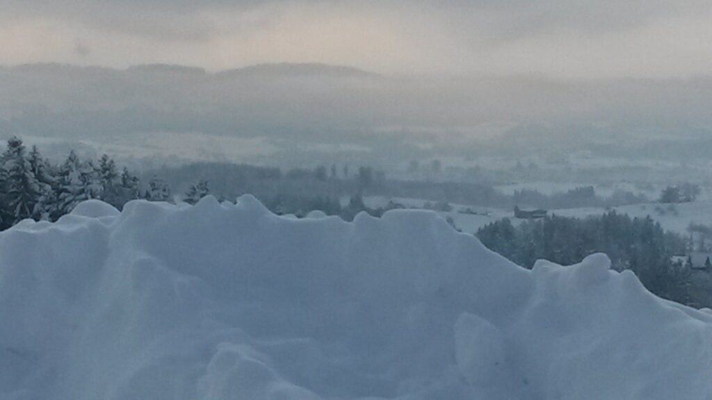 verschleierter Ausblick über die Schneemauer - 16.01.2021