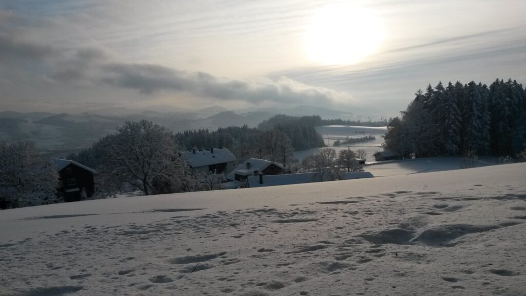 matter Sonnenschein über der weissen Pracht - 16.01.2021