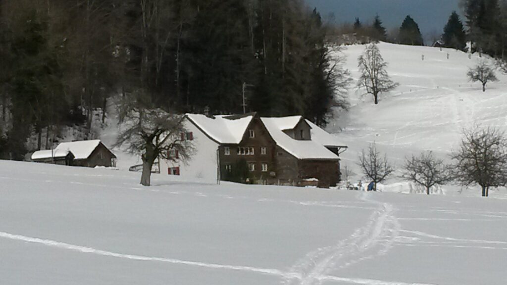 Tauwetter - 21.01.2021