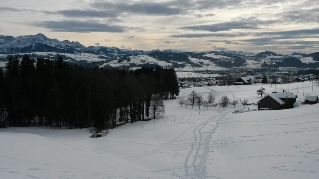 Föhnstimmung - 21.01.2021