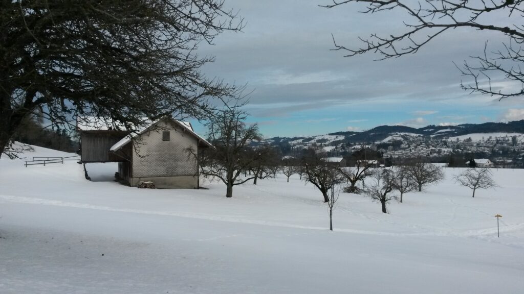 Blick aus dem Föhnfenster - 21.01.2021 
