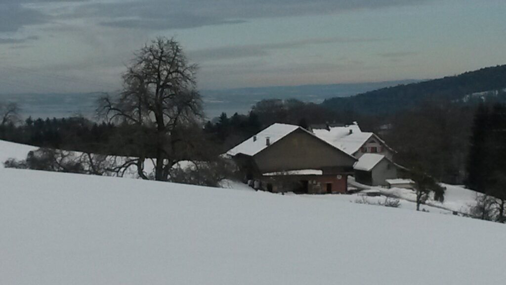 Ausblick zum Bodensee - 21.01.2021