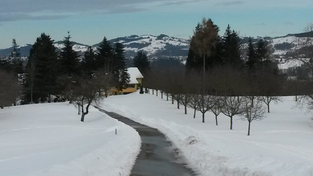 in Reih und Glied - 21.01.2021