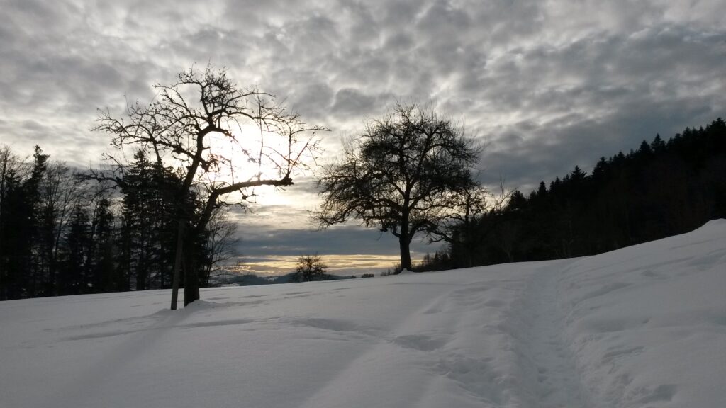 Licht am Horizont - 21.01.2021