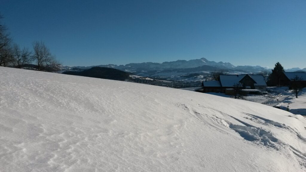 kalter Biswind auf der Anhöhe - 24.01.2021