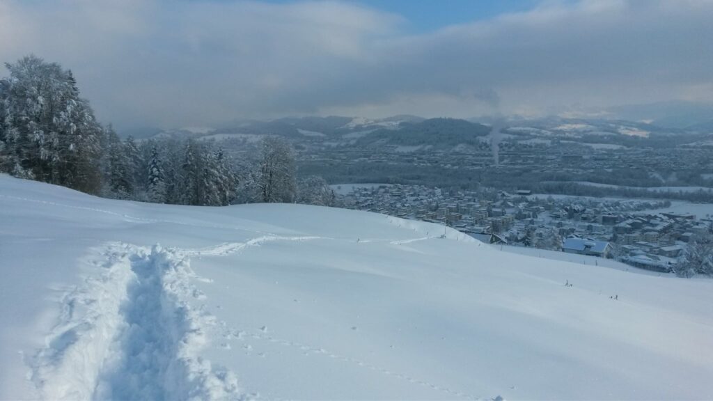 Wanderpfad im Tiefschnee - 16.01.2021