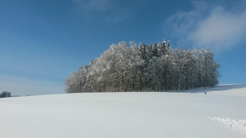 Schnee, soweit das Auge reicht. - 16.01.2021