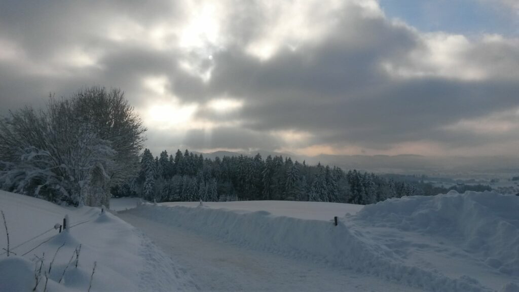 Ein sonniger Wintertag neigt sich dem Ende entgegen. - 16.01.2021