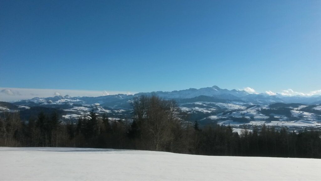 stahlblauer Winterhimmel - 24.01.2021