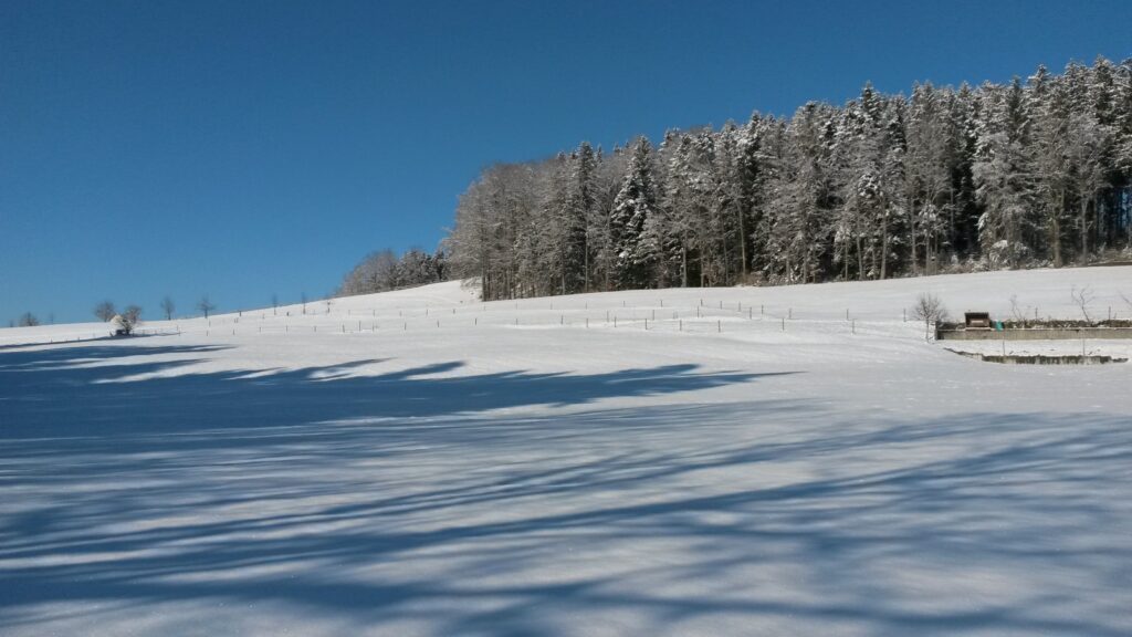 ein herrlicher Wintertag -  13.02.2021
