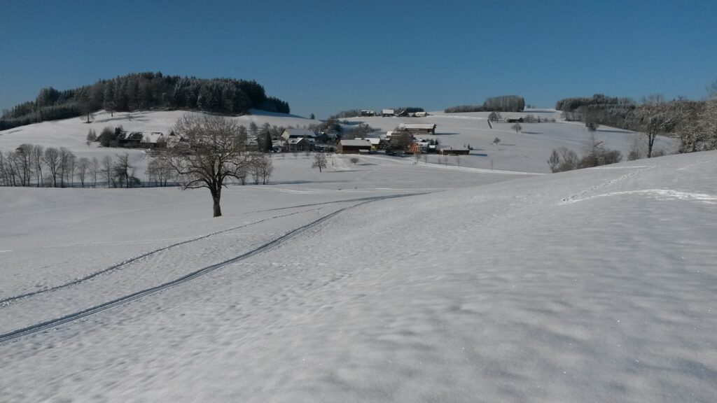Spuren der Langlauf-Loipe beim Hohfirst - 13.02.2021