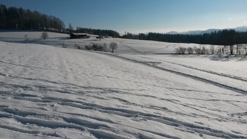 indirektes Sonnenlicht - 13.202.2021