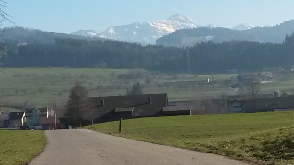 Wenigstens präsentiert sich der Säntis (2502m) noch im Winterkleid. - 21.02.2021