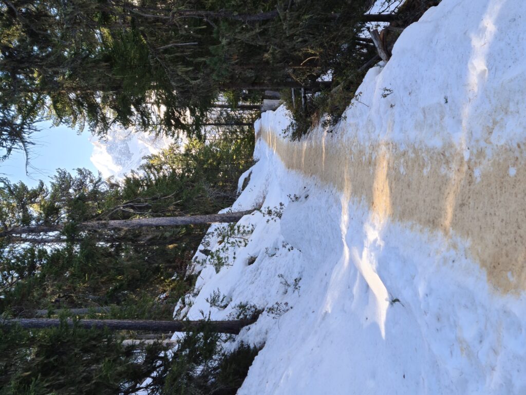 mit Holzspänen bestreuter Winterwanderweg in Grächen - Erika, 02.03.2021