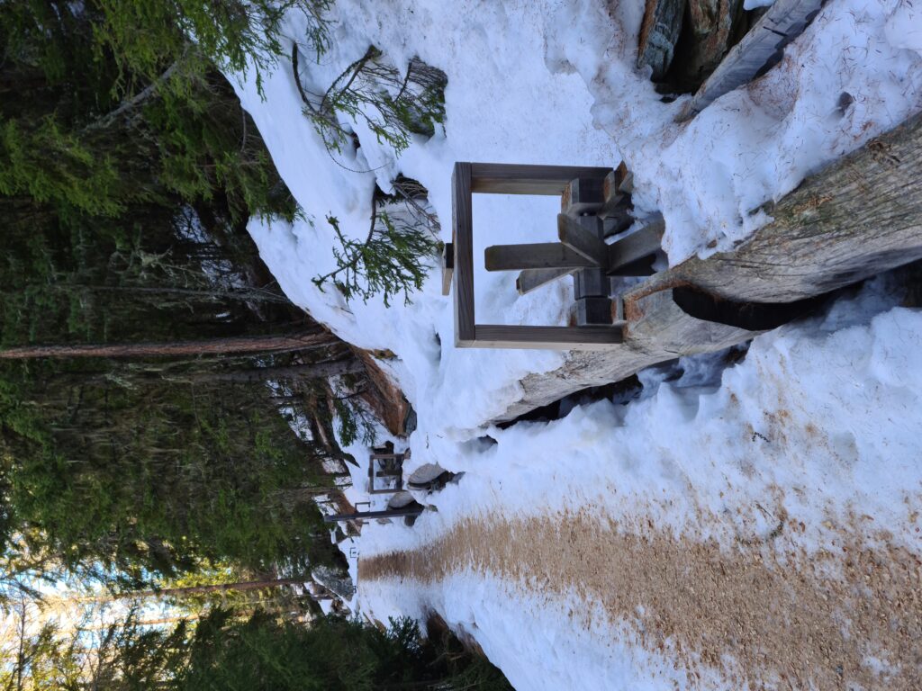 Winterwanderweg in Grächen entlang einer Suone - Erika, 02.03.2021