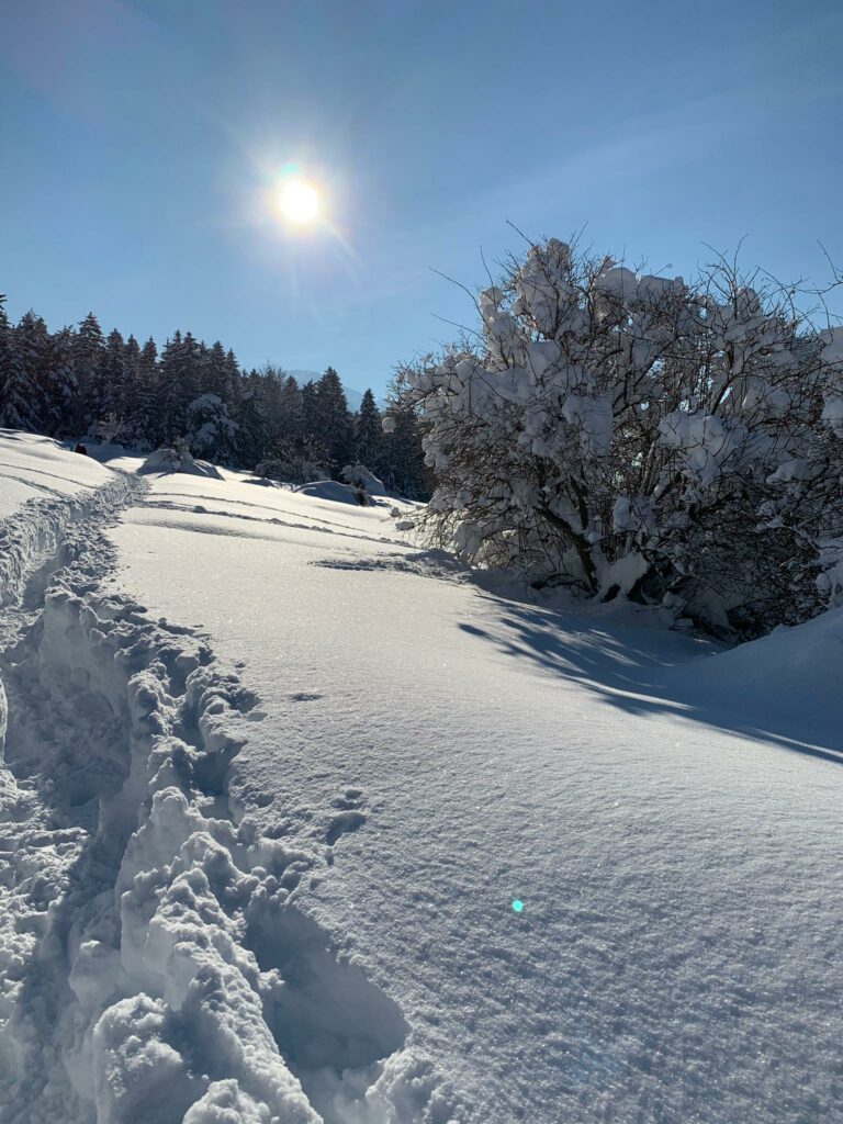 Tiefschnee im milden Sonnenlicht in Trimmis, Judith