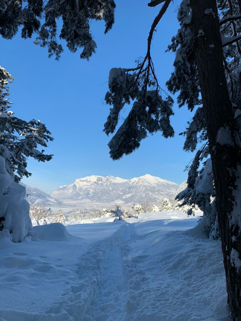 Blick von Trimmis Richtung Calanda - Judith