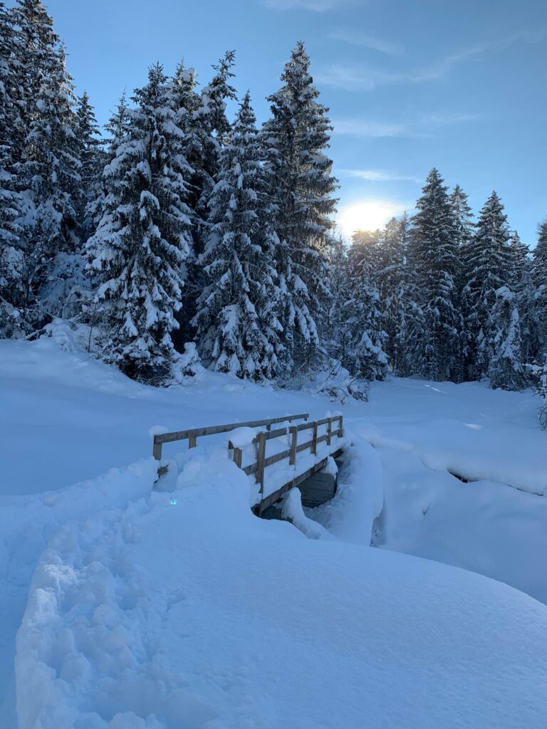 kleine Holzbrücke bei Trimmis - Judith 