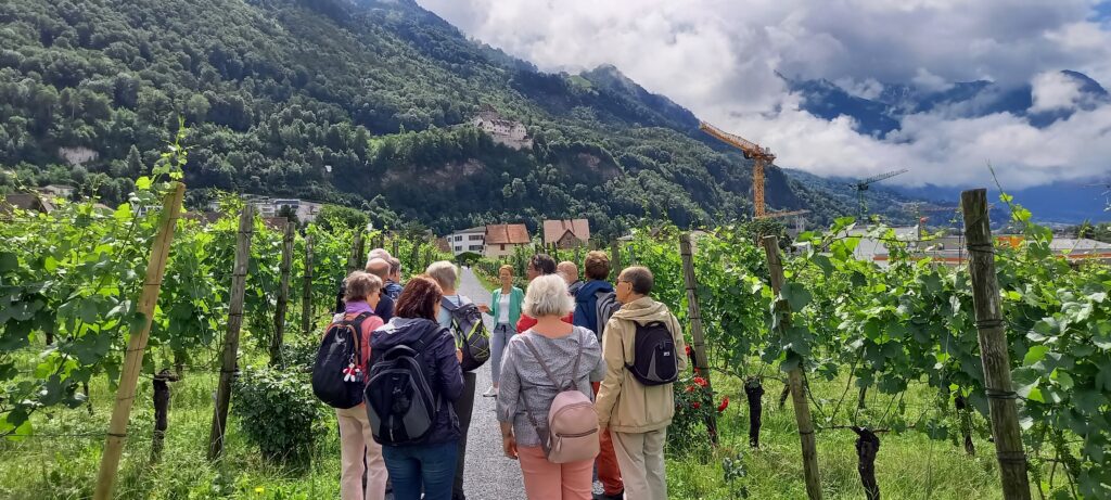 Wir lauschen den erklärenden Worten zur Geschichte des fürstlichen Rebberges - 09.07.2021