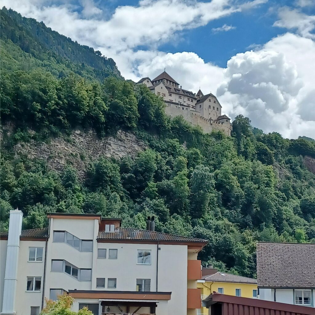 am Stadtrand mit Blick zum Schloss - 09.07.2021