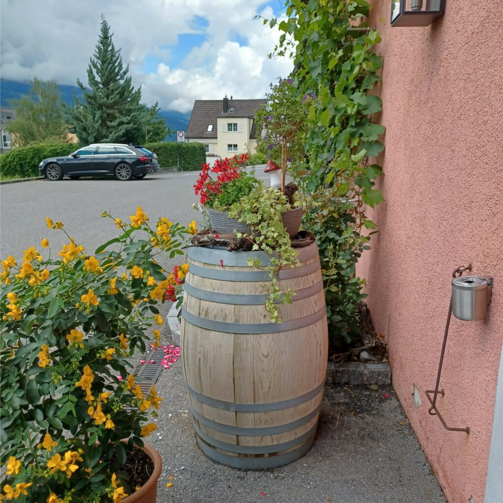 bei der Hofkellerei - 09.07.2021