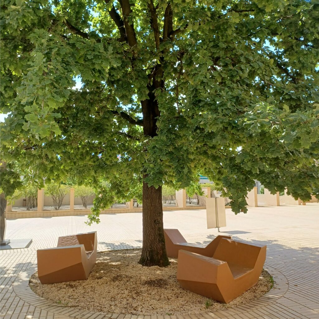 am Landtagsplatz - 09.07.2021