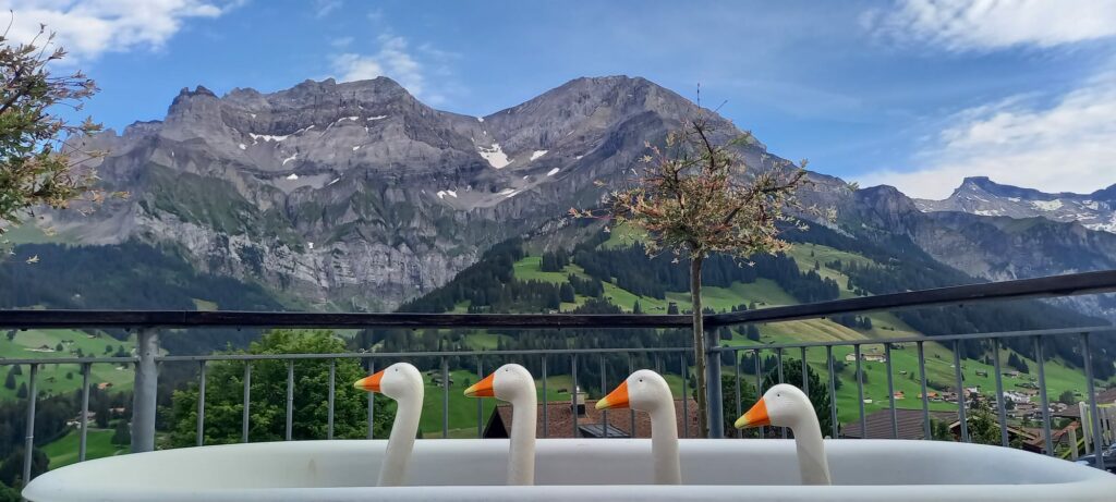 Blick von der Hotelterrasse mit Blick zum Lohner - 09.08.2021