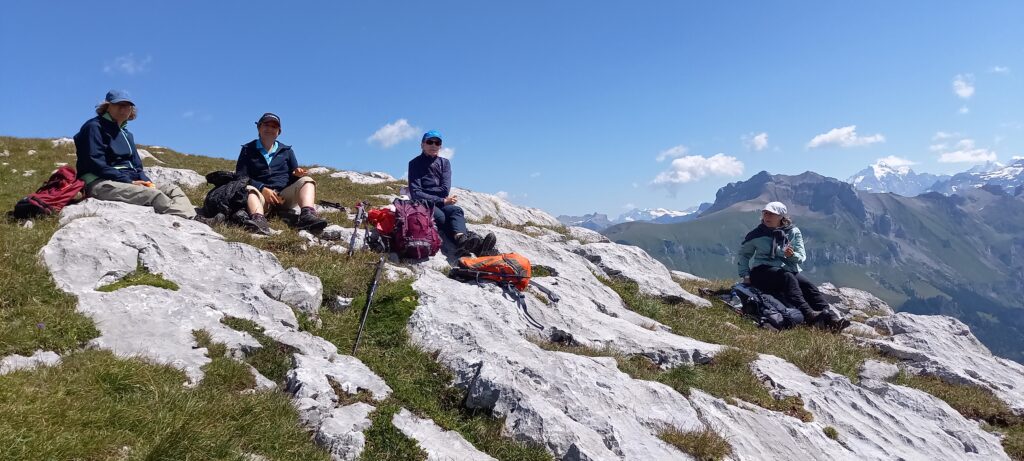 Picknickrast auf dem Elsighorn - 11.08.2021