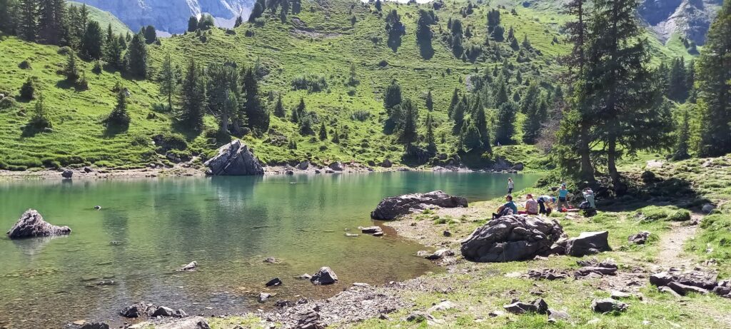 idyllischer Elsigsee inmitten schattenspendendem Tannengrün - 11.08.2021