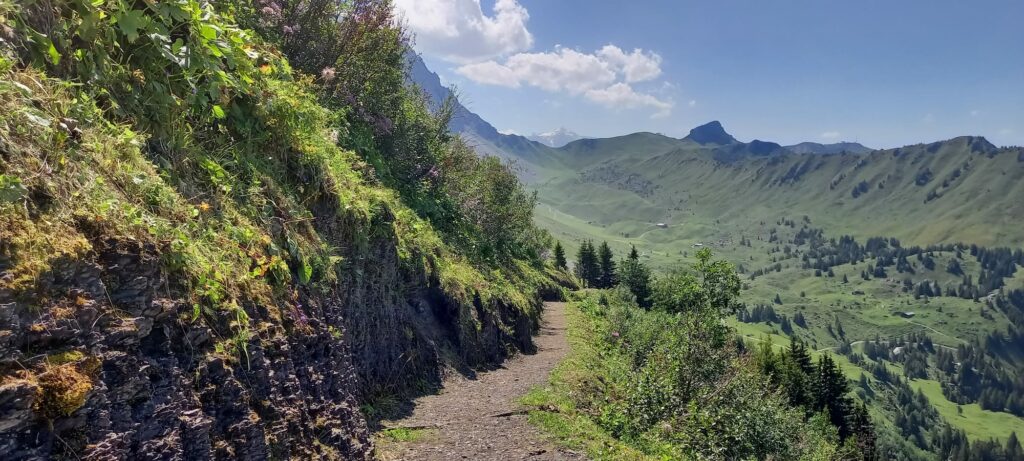 auf der Panoramawanderung Höchsthorn - Troneggrat - Bergläger - 14.08.2021
