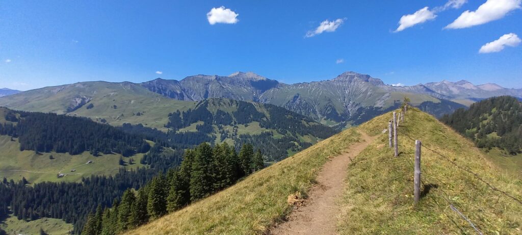 vom Troneggrat Richtung Bütschi - 14.08.2021