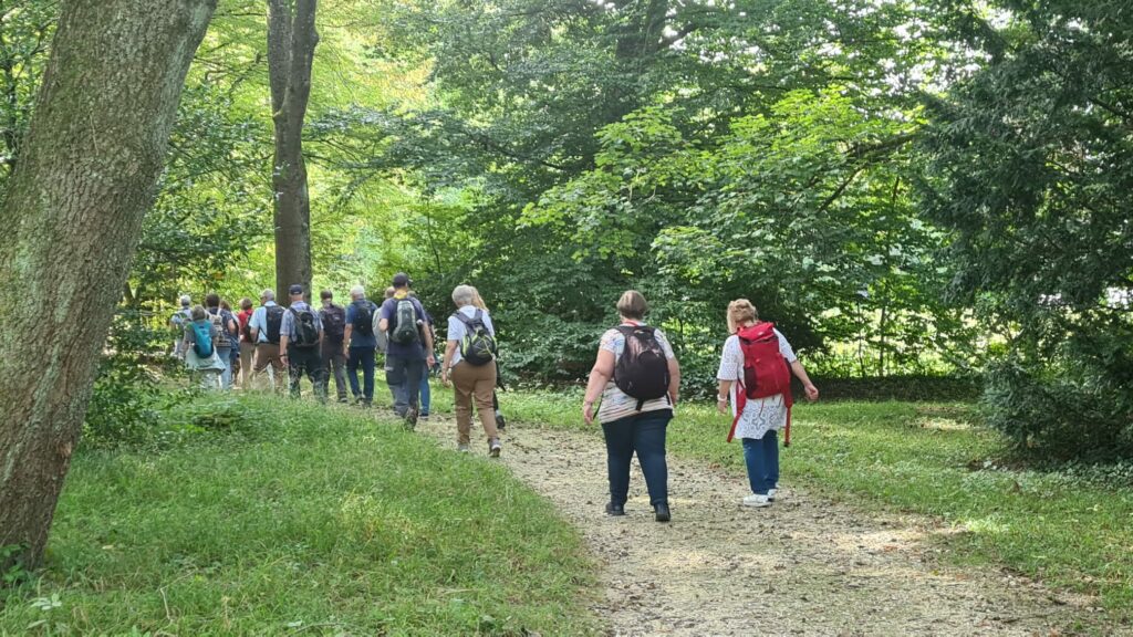 ......im schattigen Laubwald - 25.09.2021