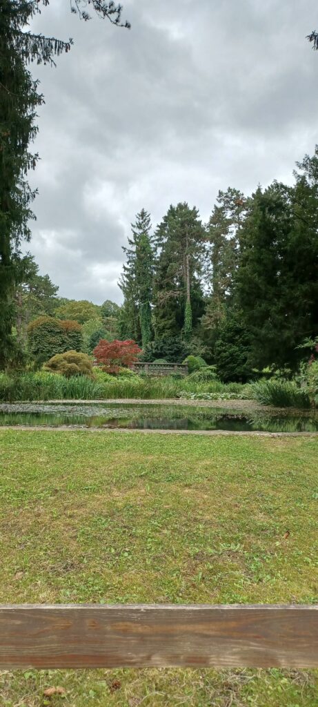 Farbiges Naturschauspiel im Wenkenpark - 25.09.2021