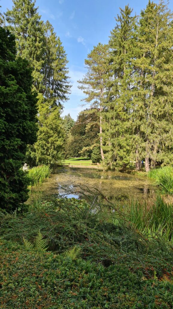 Herbstbeginn im Wenkenpark - 25.09.2021