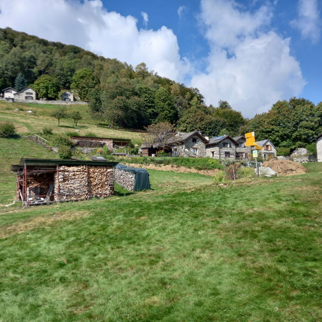 Alp Monte di Lego - 18.09.2021