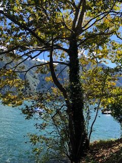 Spätsommerliche Stimmung am Lago di Lugano - 21.09.2021