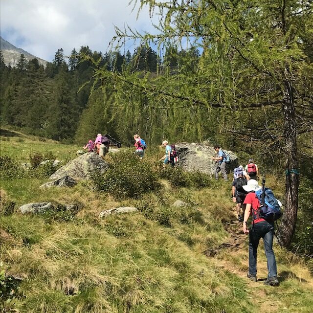 Aufstieg zur Grossalp 13.09.2021