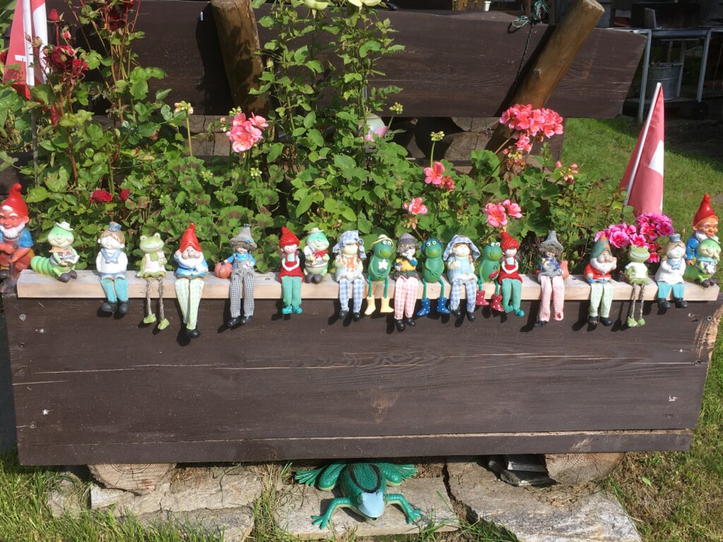 originelle Blumenkiste mit Frosch - 13.09.2021