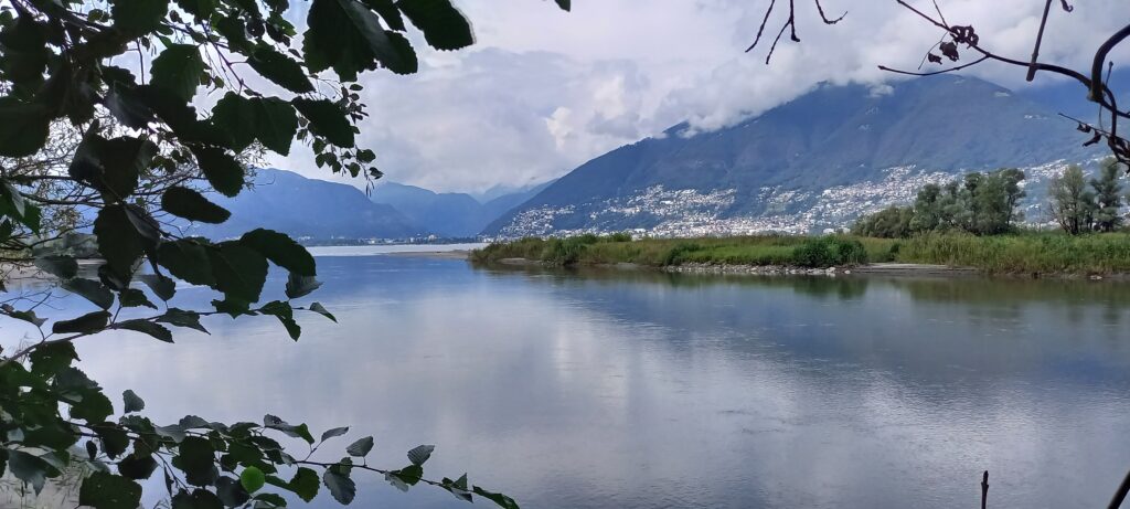 Zufluss Ticino in den Lago Maggiore - 16.09.2021