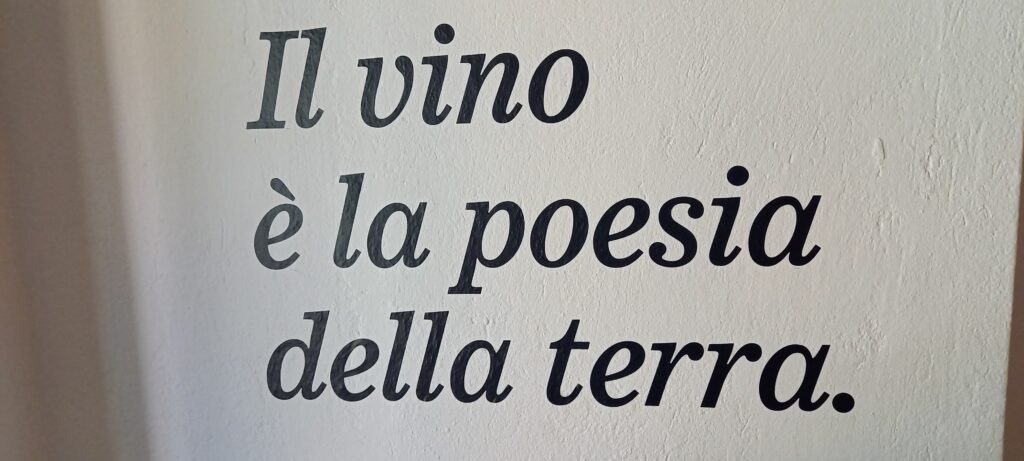 Der Wein ist die Poesie der Erde - 17.09.2021
