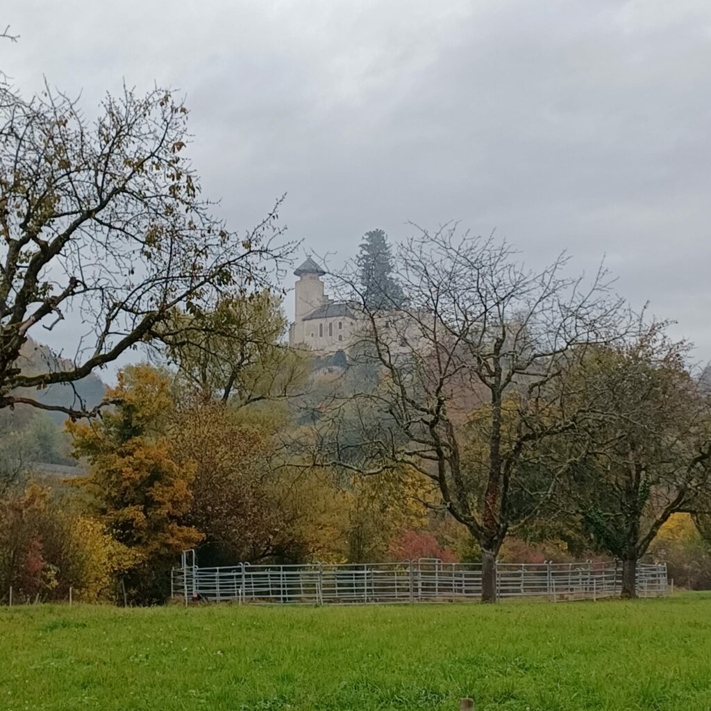 Herbststimmung in der Ermitage 30.10.2021