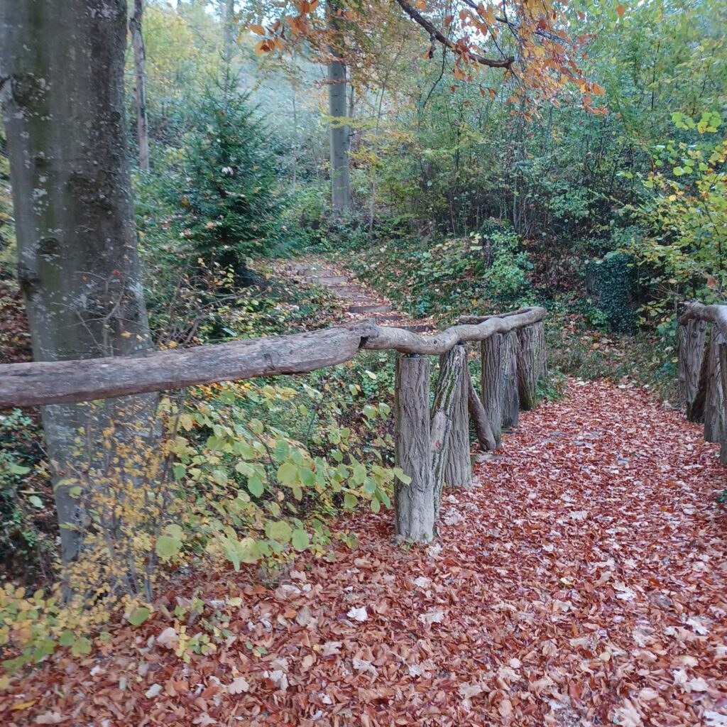 auf dem Laubweg 30.10.2021