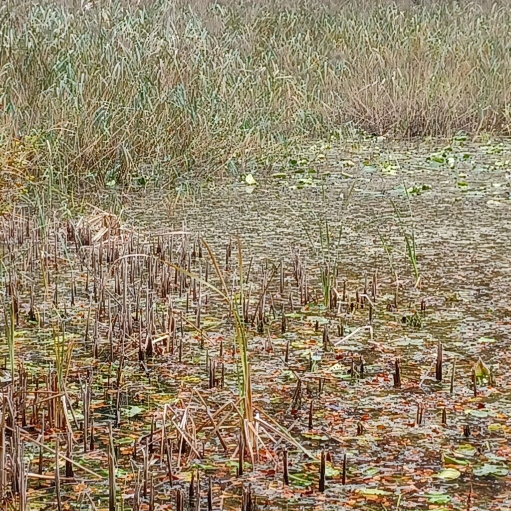 pittoreske Landschaft - 30.10.2021