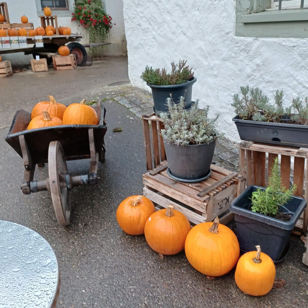 vor dem Klosterladen - 14.11.2021