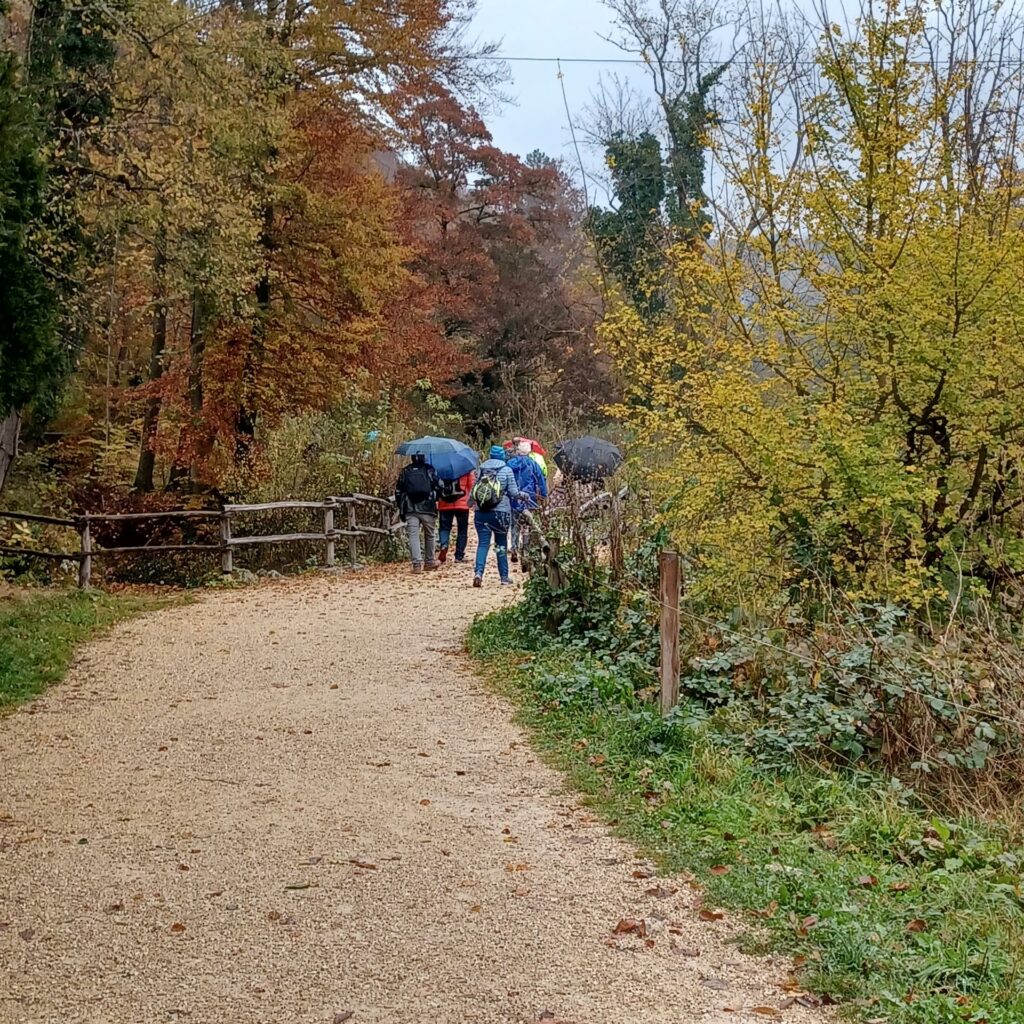 unterwegs im Regen 30.10.2021