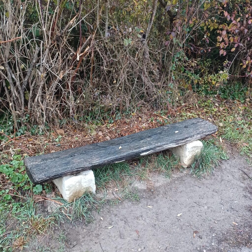 einsames Ruheplätzchen - 14.11.2021