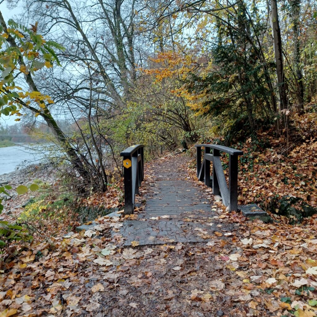 Holzbrücke am Limmatufer - 14.11.2021