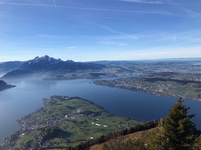 tiefblauer Vierwaldstättersee - 01.01.2022