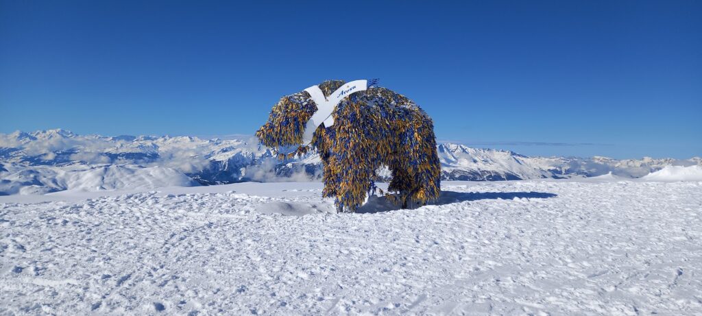 unerschütterlich auf 2653 m - 05.02.2022